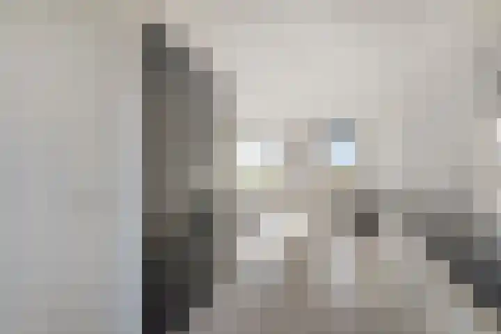 Zomerzon 54 Assendelft thumbnail 12