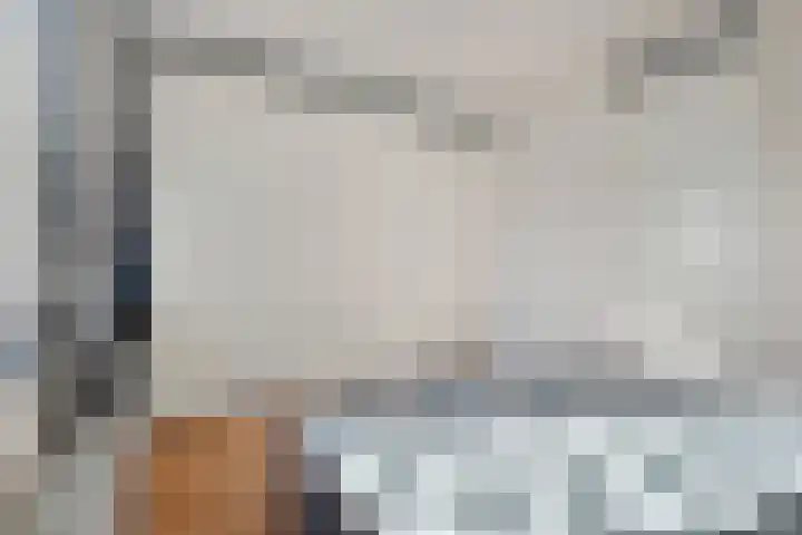 Zomerzon 54 Assendelft thumbnail 16