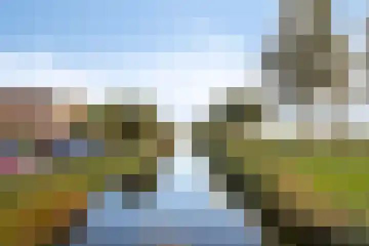 Zomerzon 54 Assendelft thumbnail 22