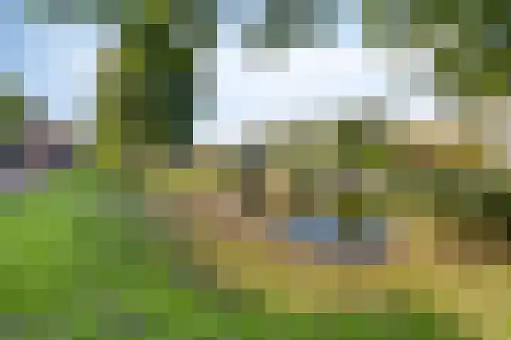 Zomerzon 54 Assendelft thumbnail 23