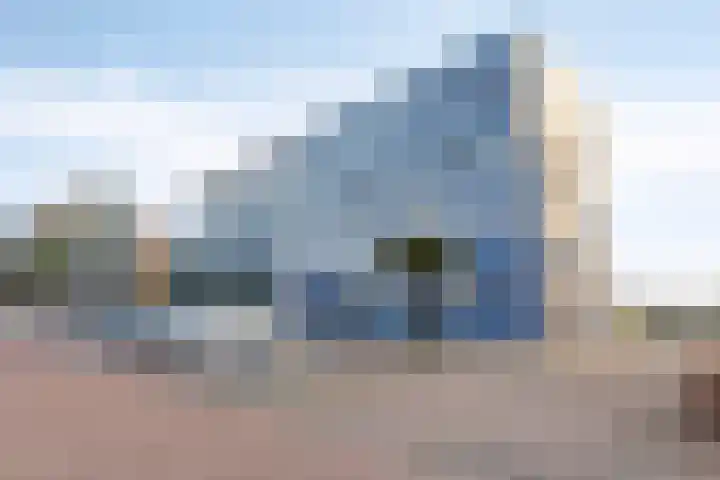 Zomerzon 54 Assendelft thumbnail 24
