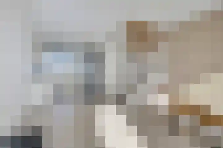 Zomerzon 54 Assendelft thumbnail 5