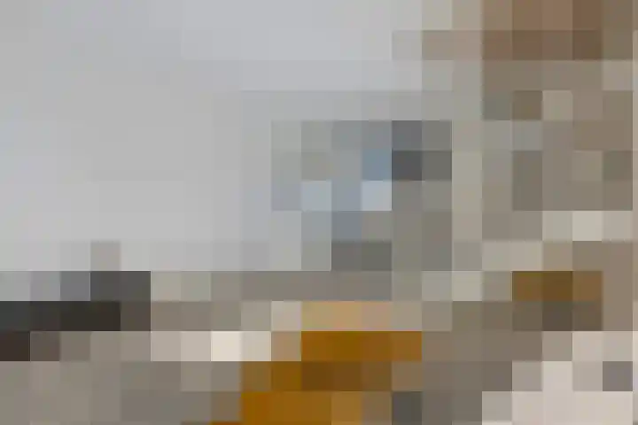 Zomerzon 54 Assendelft thumbnail 6