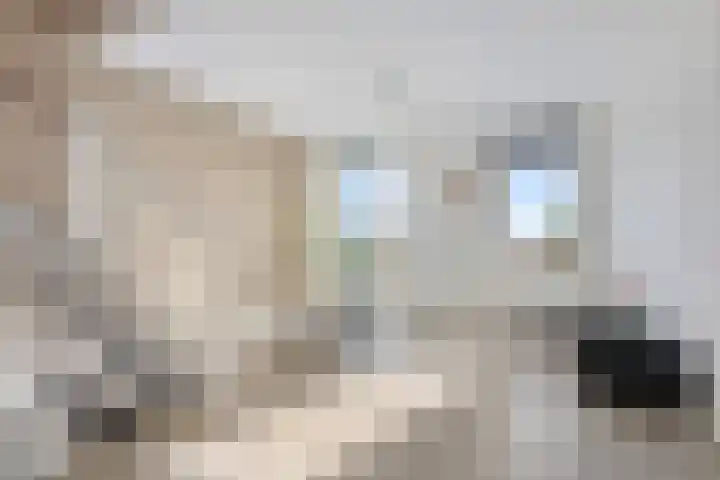 Zomerzon 54 Assendelft thumbnail 7