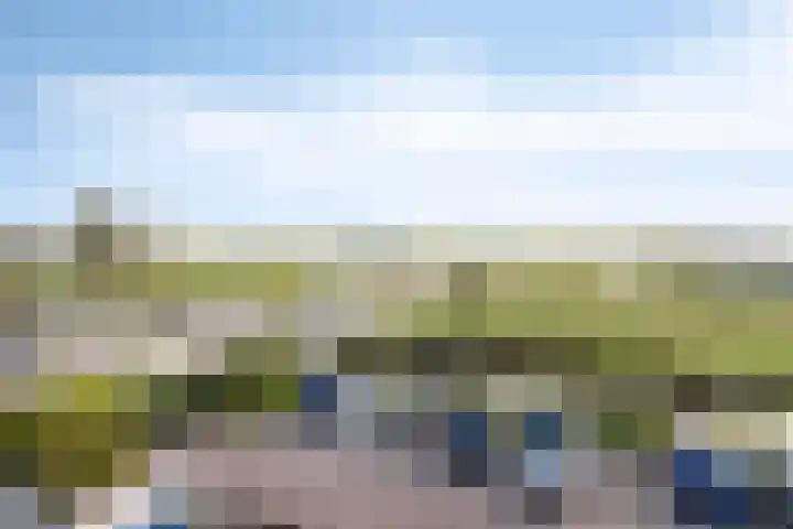 Zomerzon 54 Assendelft thumbnail 8
