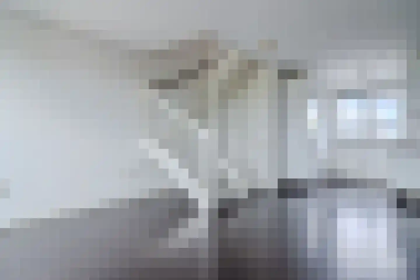 Zomerzon 56 Assendelft thumbnail 12