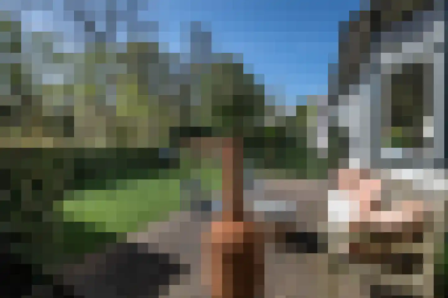 Zomerzorgerlaan 11 Bloemendaal thumbnail 5