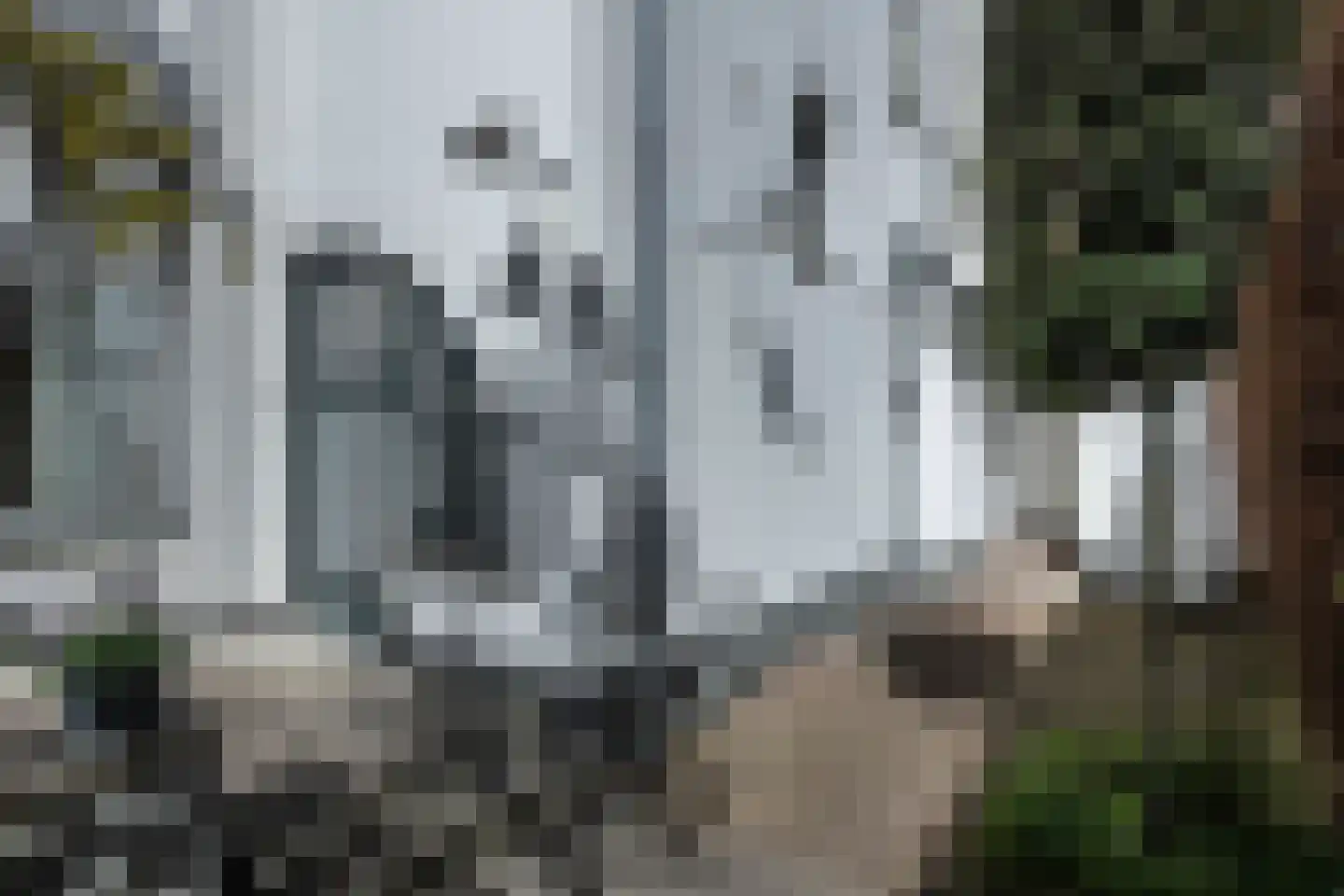Zomerzorgerlaan 11 Bloemendaal thumbnail 6