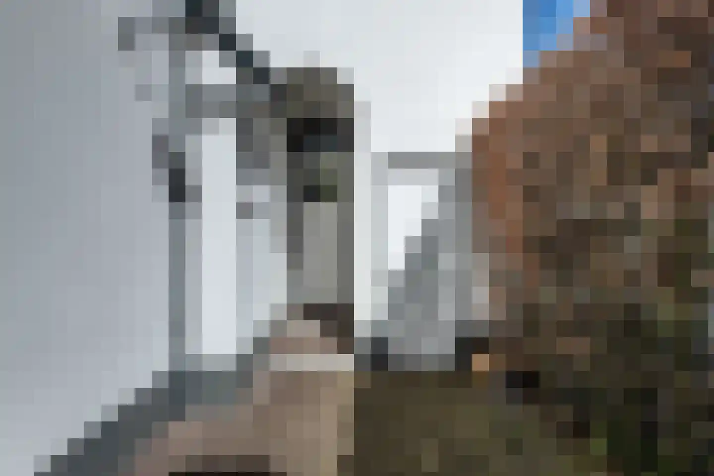Zomerzorgerlaan 11 Bloemendaal thumbnail 7