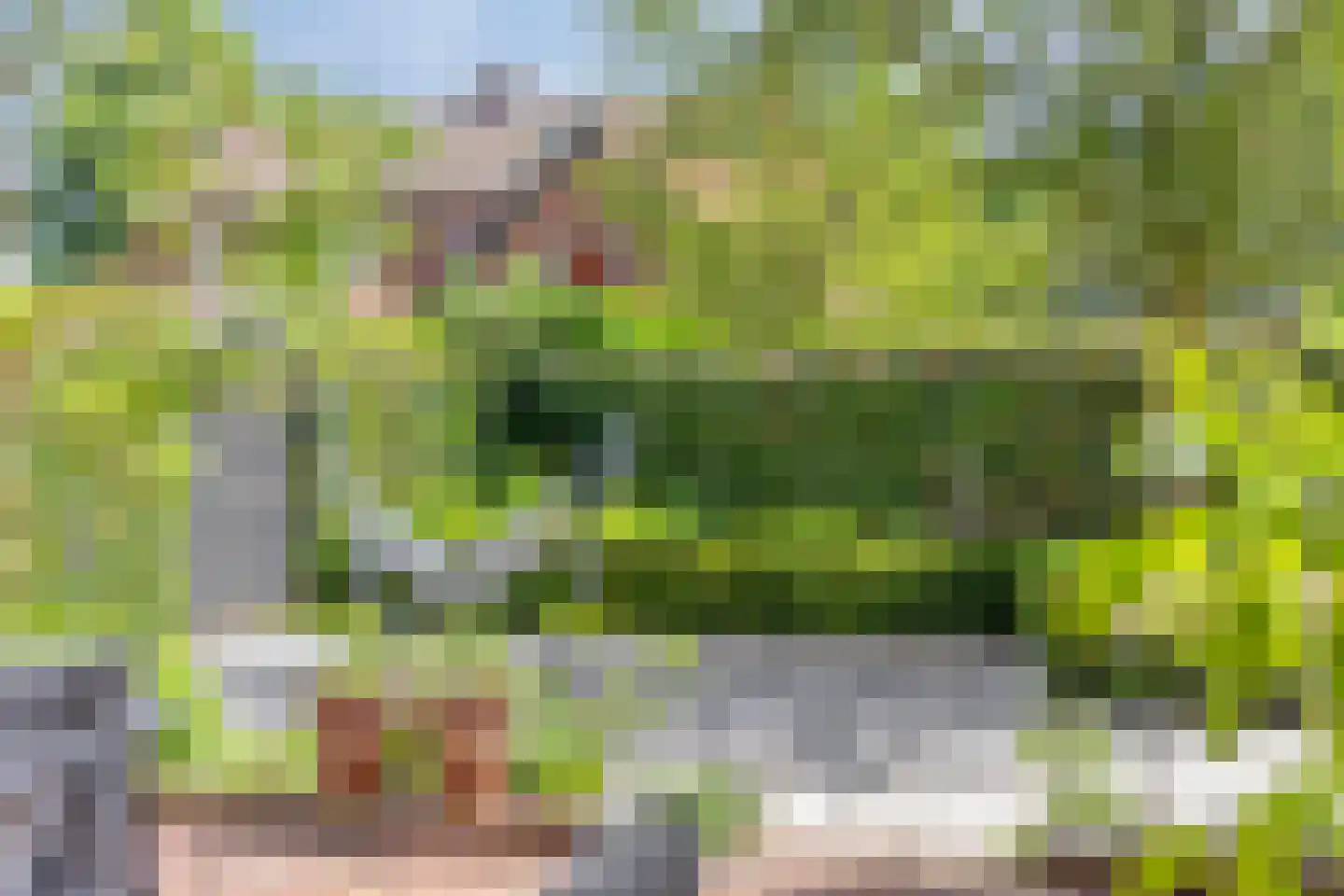 Zompweg 10 Heerde thumbnail 42