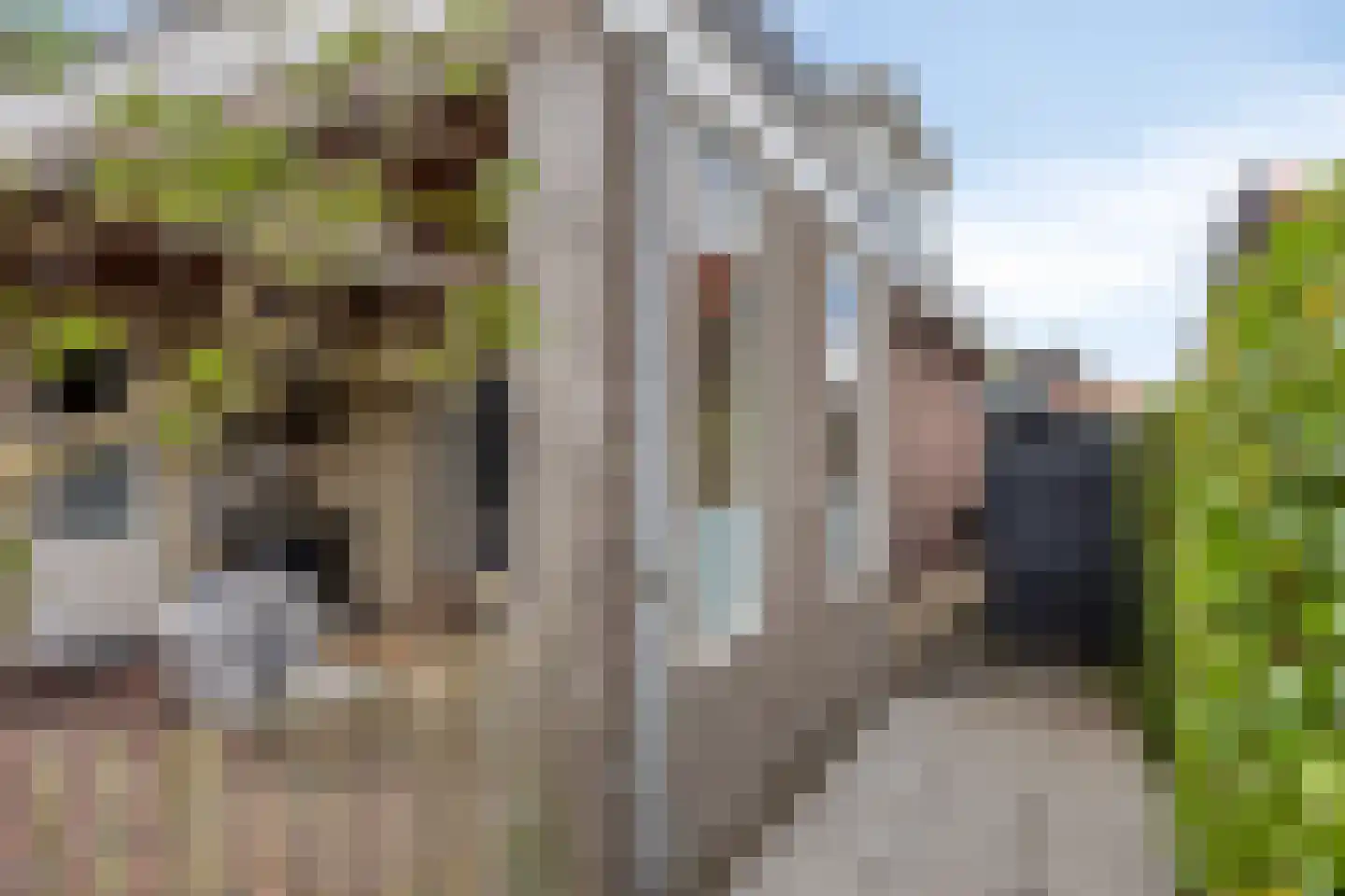 Zompweg 10 Heerde thumbnail 52