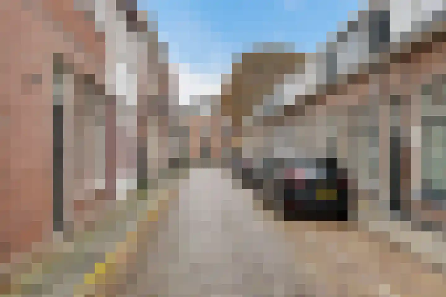 Zon 14 Hoorn thumbnail 10