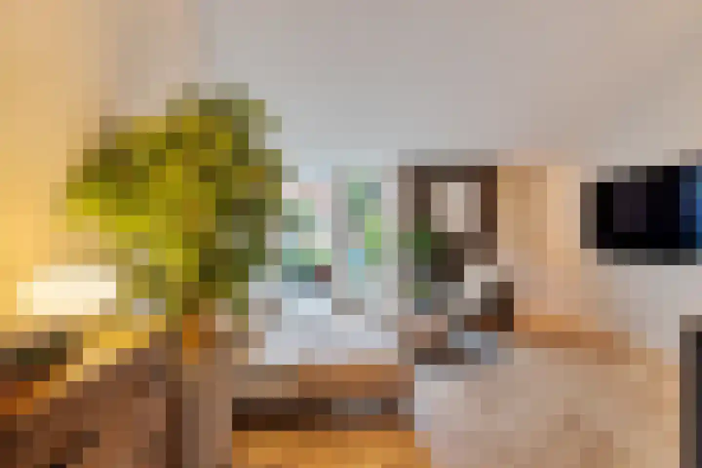 Zon 14 Hoorn thumbnail 21