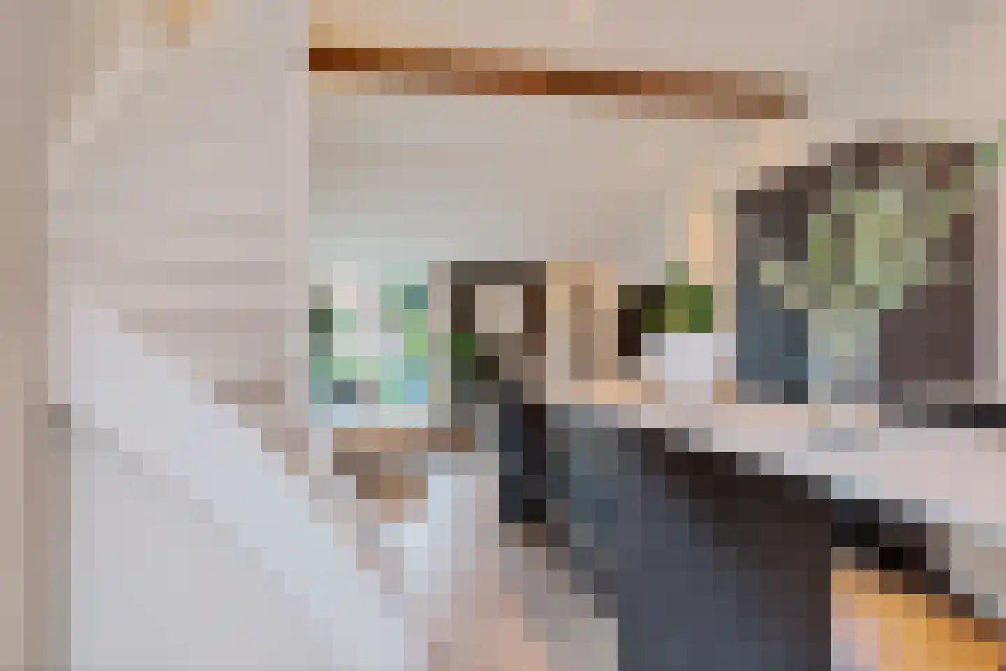 Zon 14 Hoorn thumbnail 28