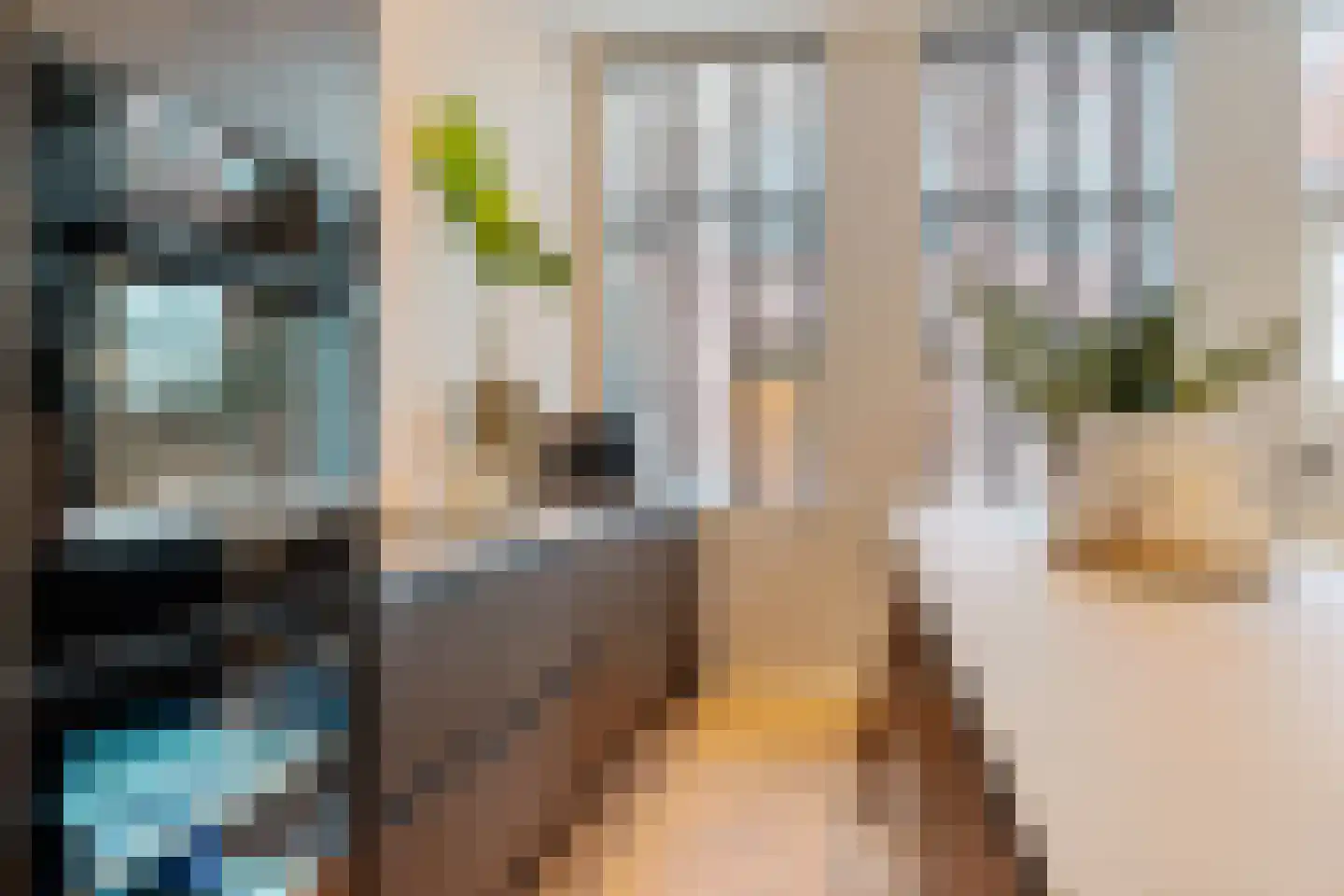 Zon 14 Hoorn thumbnail 30