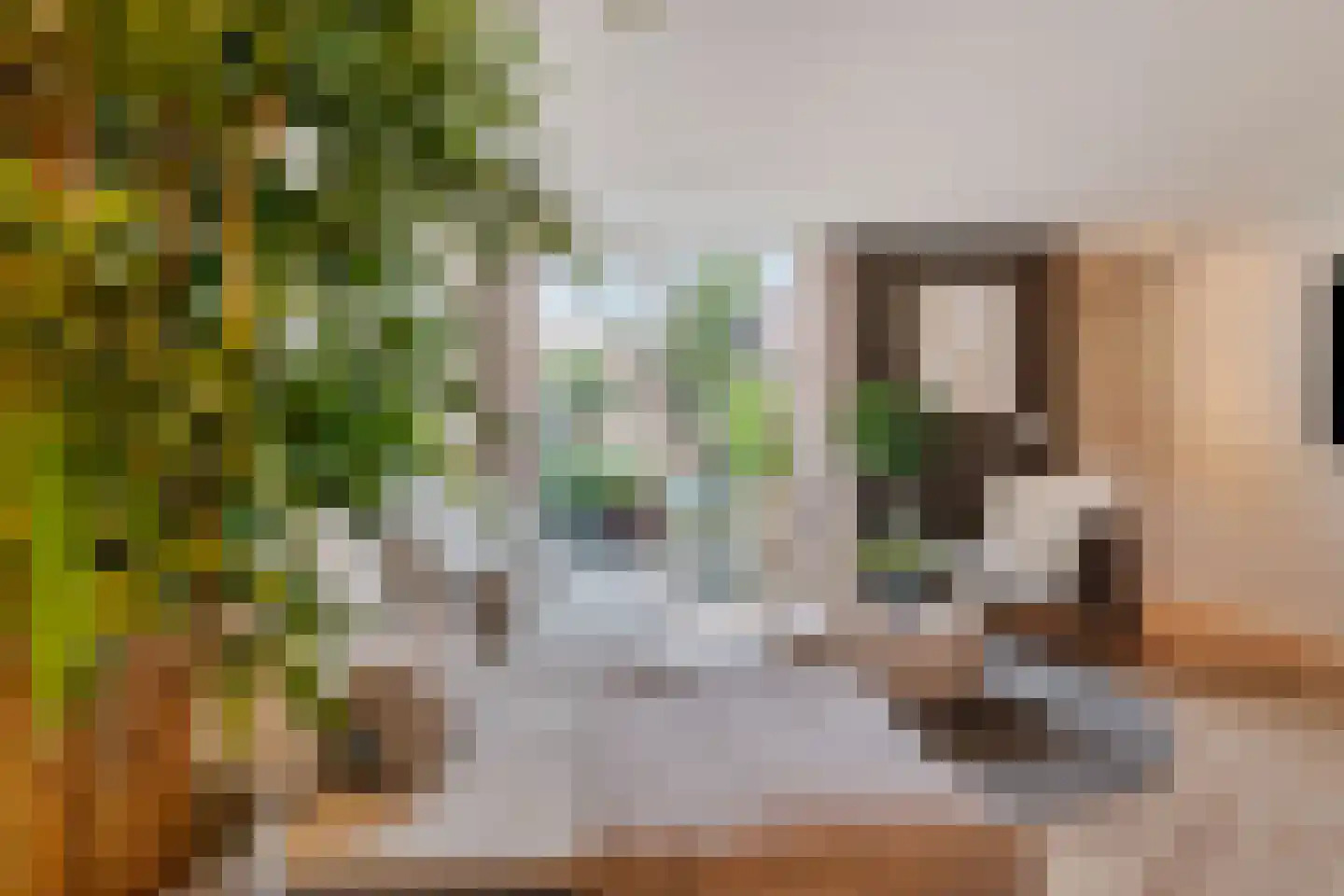 Zon 14 Hoorn thumbnail 33