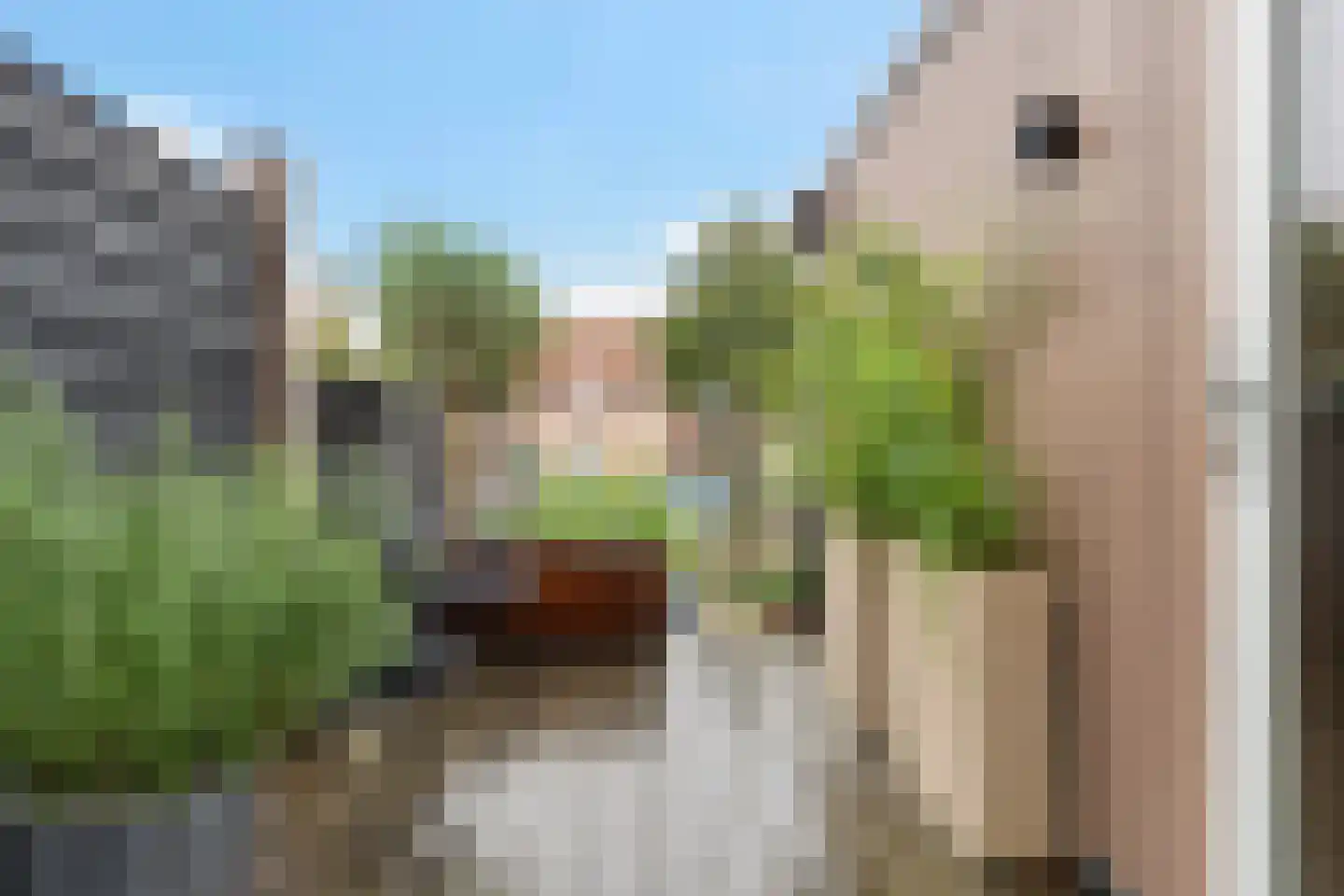 Zon 14 Hoorn thumbnail 34