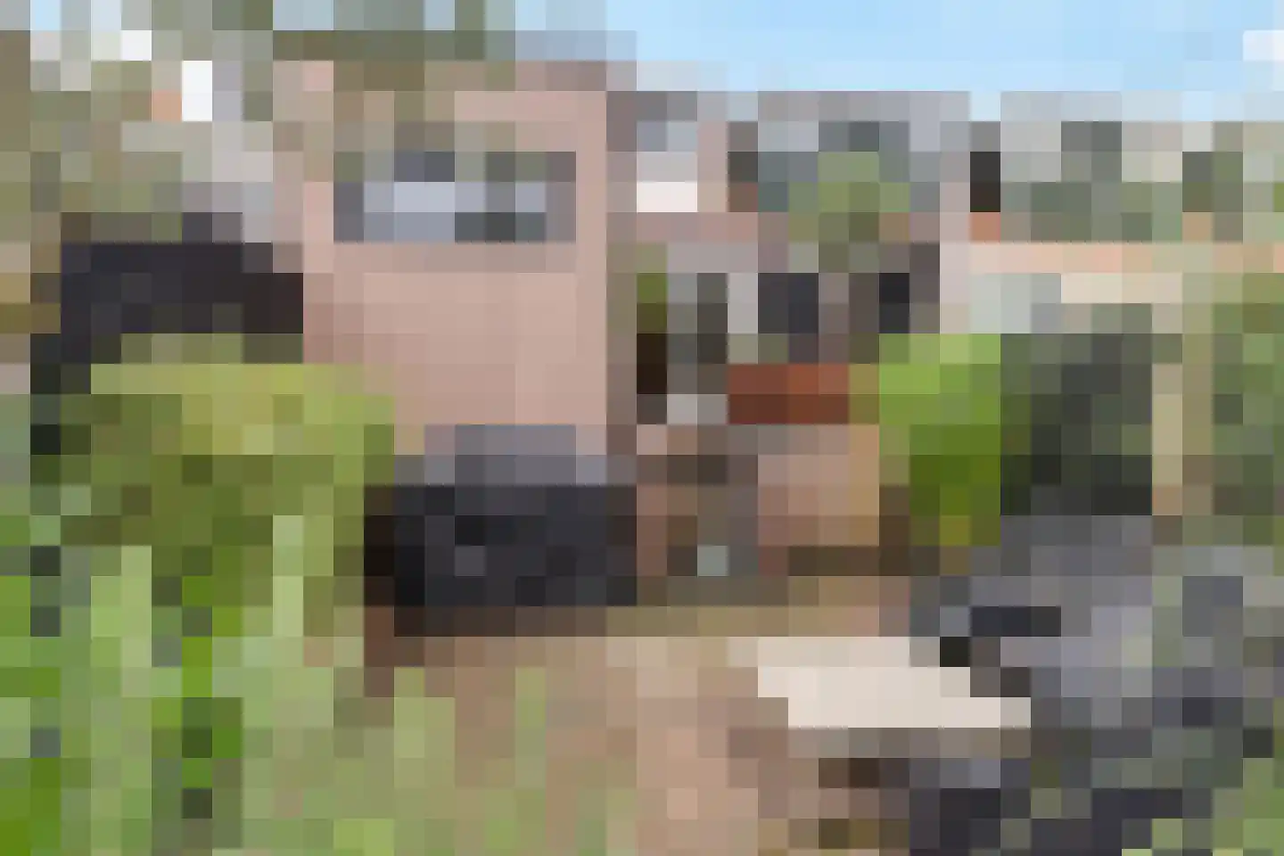 Zon 14 Hoorn thumbnail 37