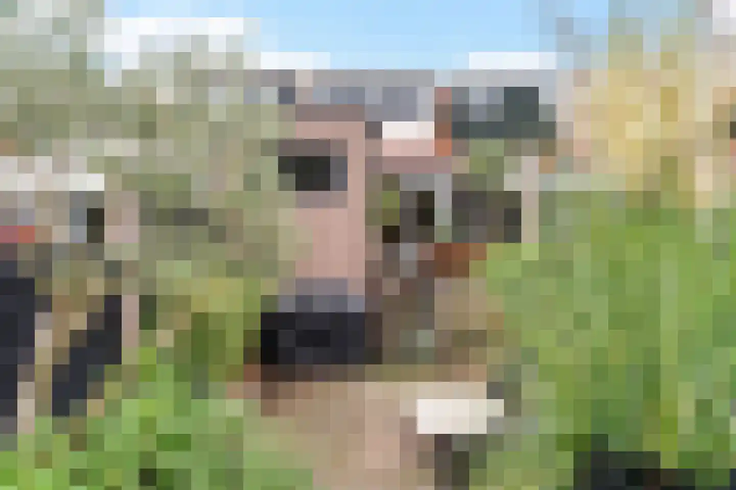 Zon 14 Hoorn thumbnail 38