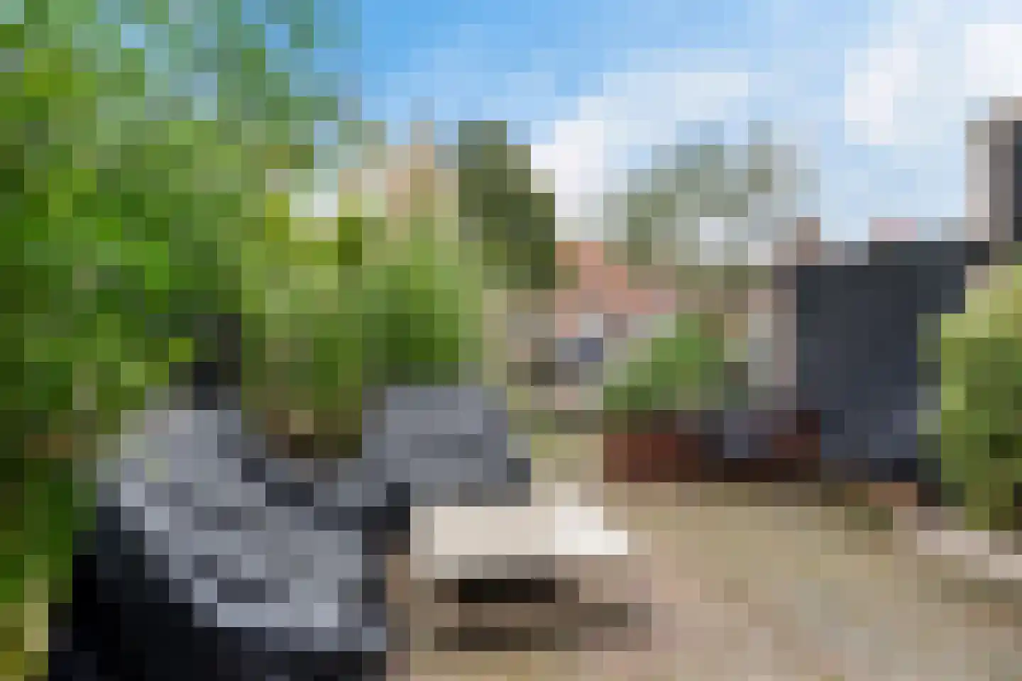 Zon 14 Hoorn thumbnail 39