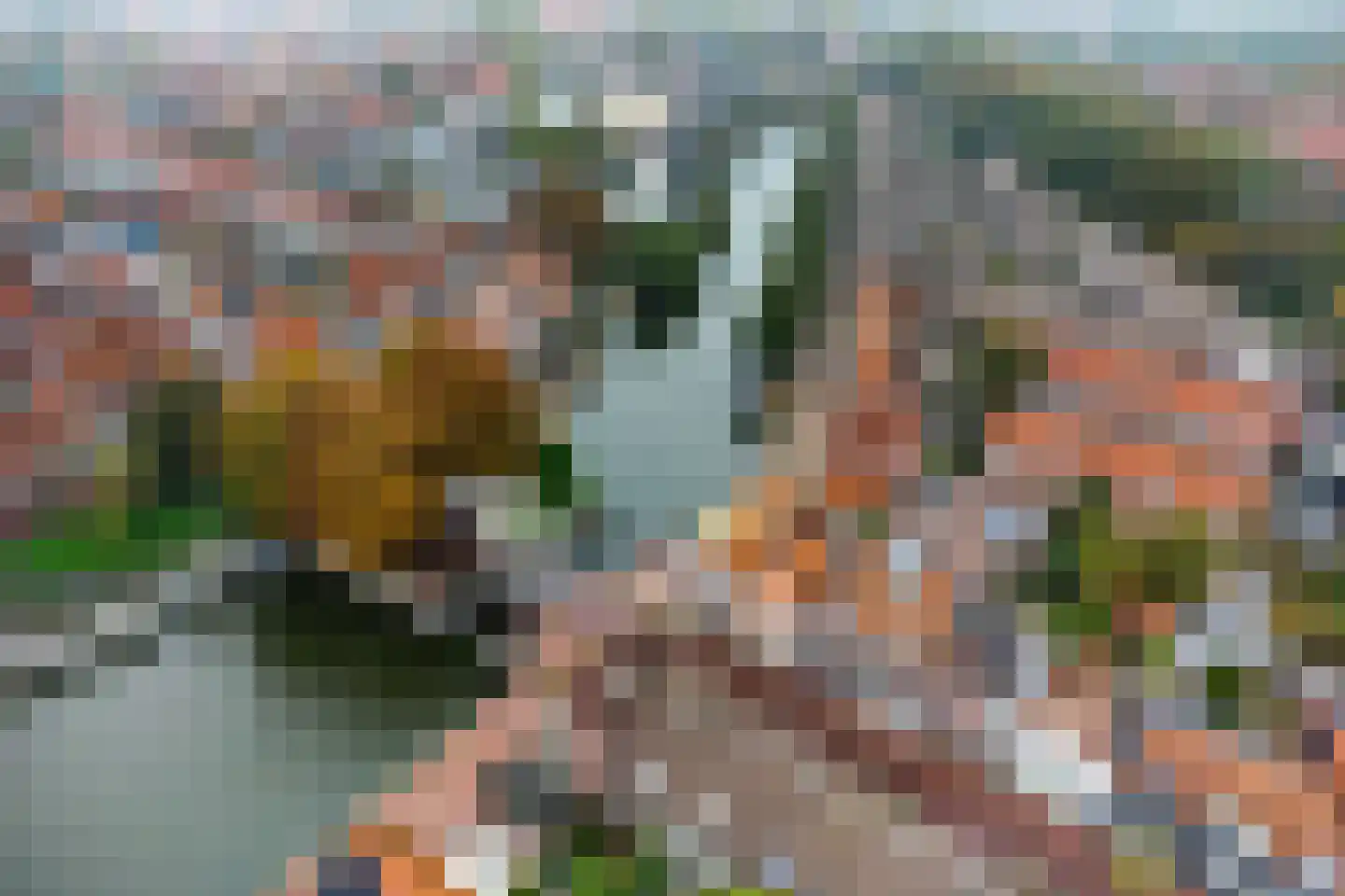 Zon 14 Hoorn thumbnail 42