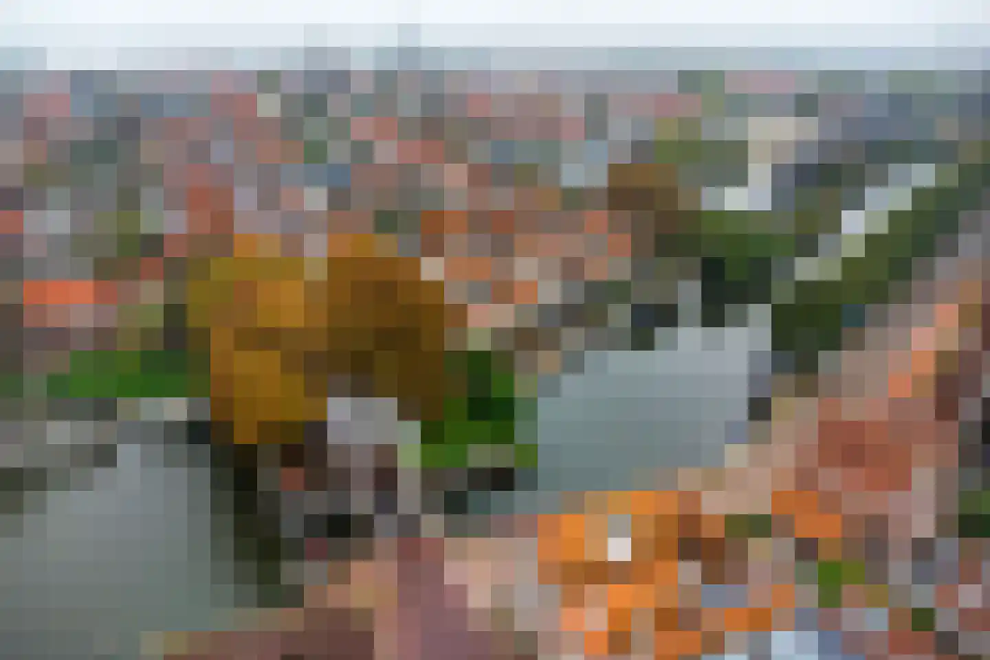 Zon 14 Hoorn thumbnail 43