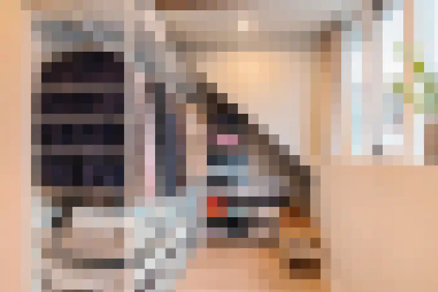 Zon 14 Hoorn thumbnail 47
