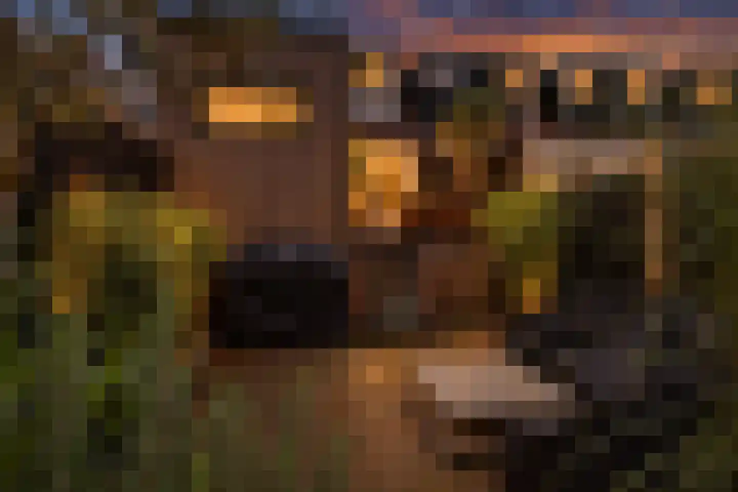 Zon 14 Hoorn thumbnail 8