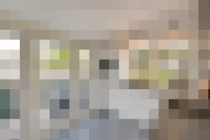 Zon 2 Hoorn thumbnail 10