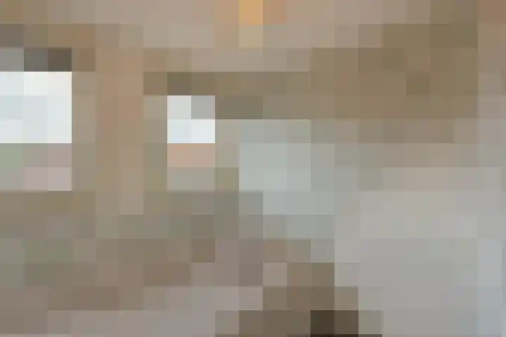 Zon 2 Hoorn thumbnail 16