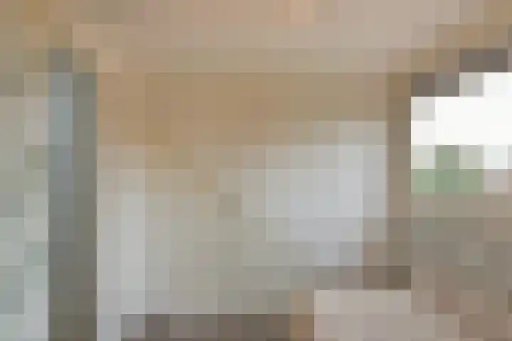 Zon 2 Hoorn thumbnail 17