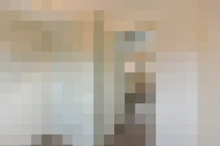 Zon 2 Hoorn thumbnail 18