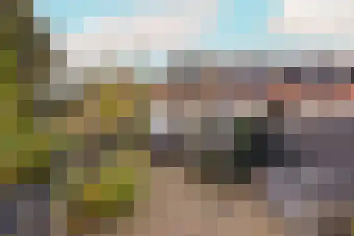 Zon 2 Hoorn thumbnail 21