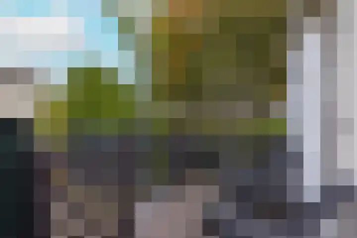 Zon 2 Hoorn thumbnail 23