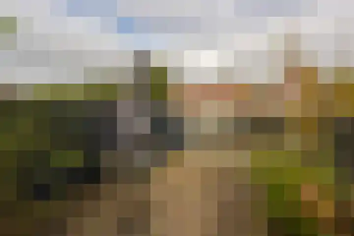 Zon 2 Hoorn thumbnail 25