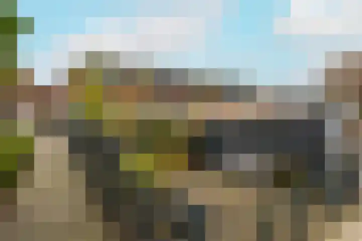 Zon 2 Hoorn thumbnail 26