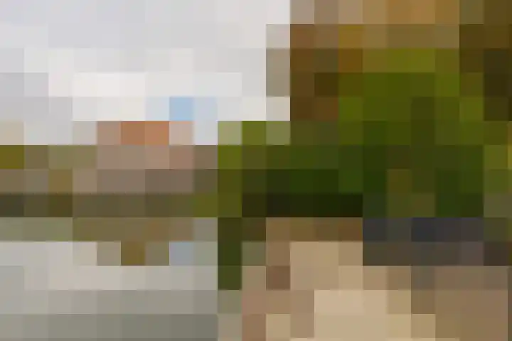 Zon 2 Hoorn thumbnail 27