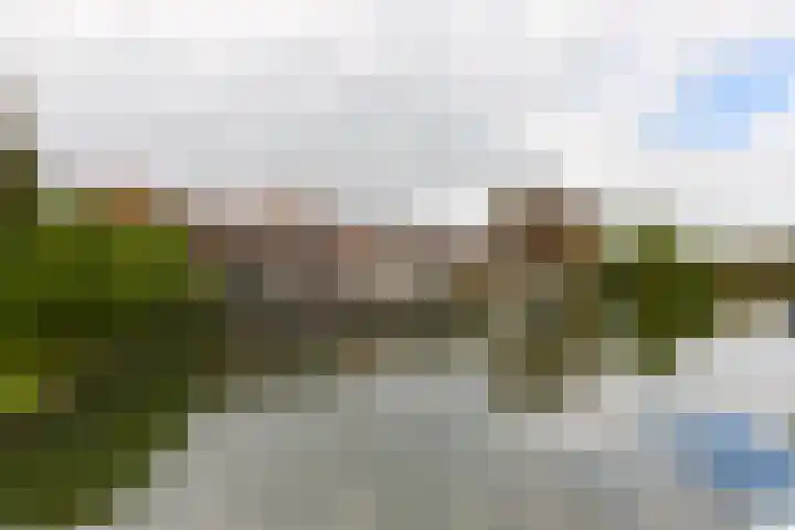 Zon 2 Hoorn thumbnail 28
