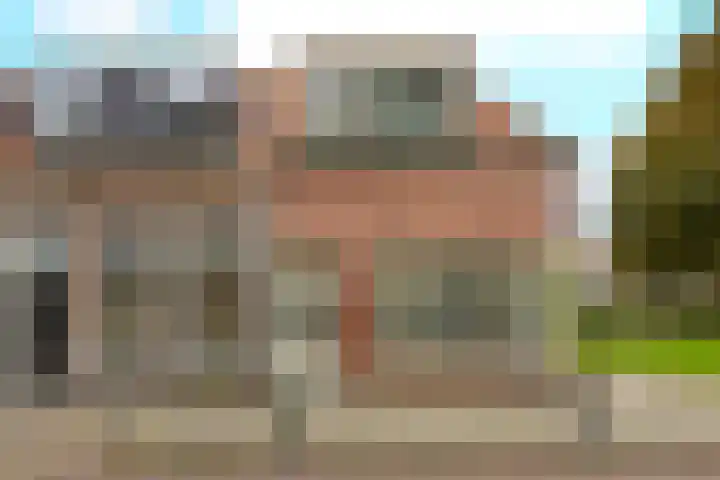 Zon 2 Hoorn thumbnail 29