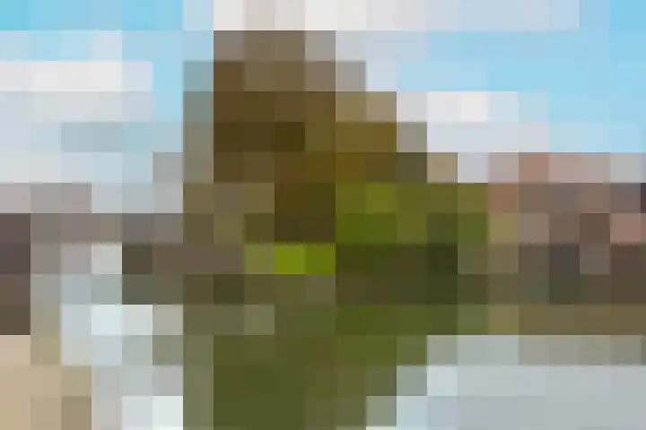 Zon 2 Hoorn thumbnail 31