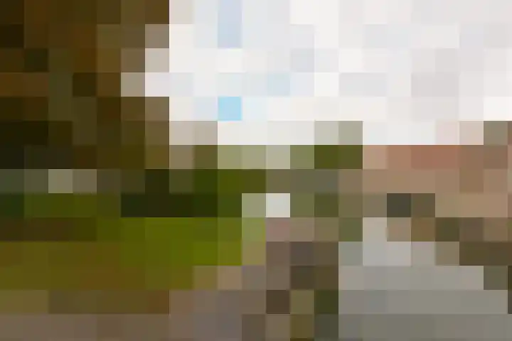 Zon 2 Hoorn thumbnail 32