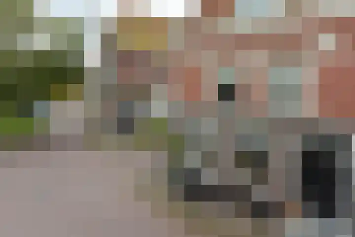 Zon 2 Hoorn thumbnail 33