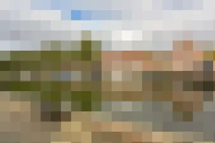 Zon 2 Hoorn thumbnail 34