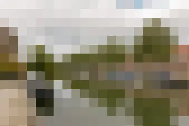 Zon 2 Hoorn thumbnail 35