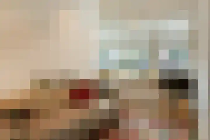 Zon 2 Hoorn thumbnail 4
