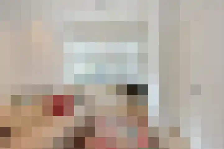 Zon 2 Hoorn thumbnail 5