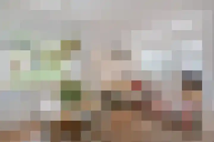 Zon 2 Hoorn thumbnail 6