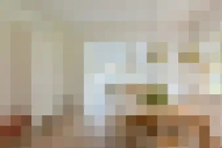 Zon 2 Hoorn thumbnail 7