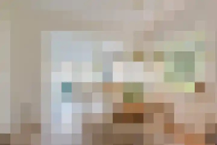 Zon 2 Hoorn thumbnail 8