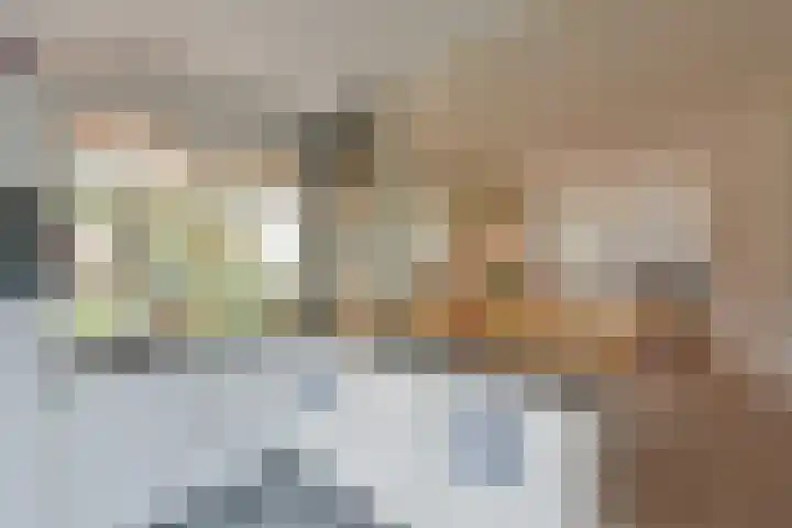 Zon 2 Hoorn thumbnail 9